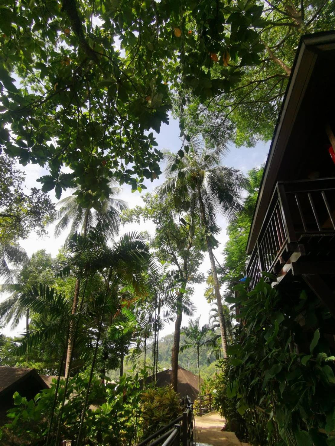 Baan Krating Khao Lak Resort - Sha Plus מראה חיצוני תמונה
