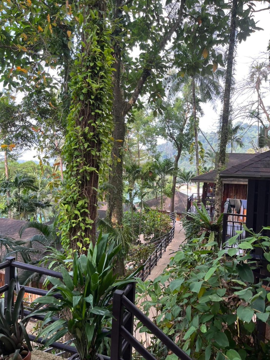 Baan Krating Khao Lak Resort - Sha Plus מראה חיצוני תמונה